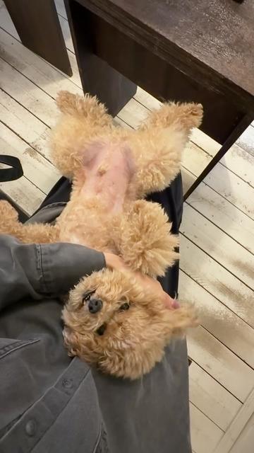 @❤️김진향작가📚