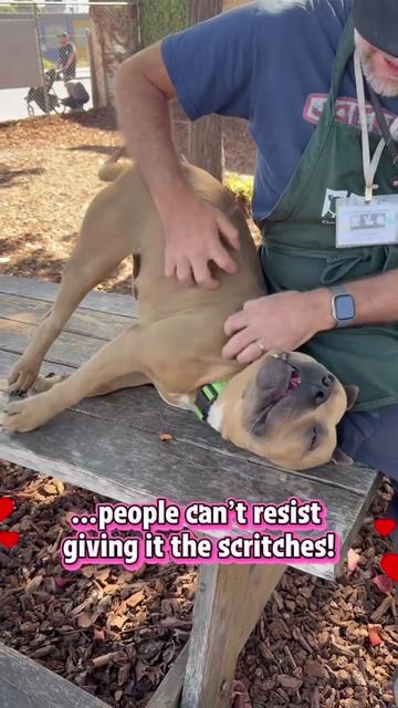 @Oakland Animal Services