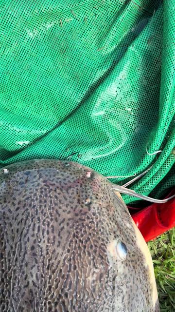 @Dimex Pescador