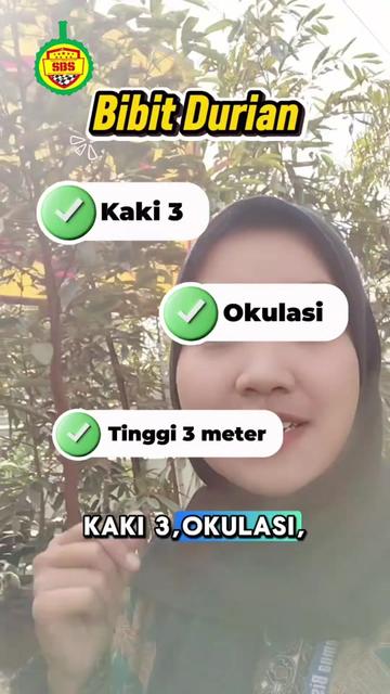 @Produksi Buah_SBS