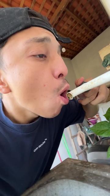 @cjboladao