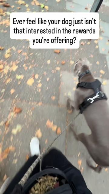 @MilneandMutt
