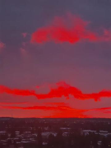@Pickles