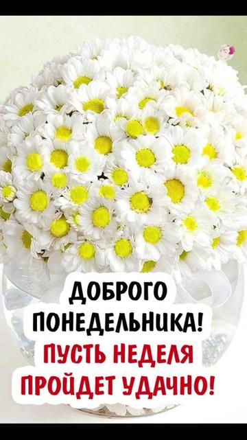 @Ane4ka71