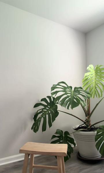 @Mandy Migs