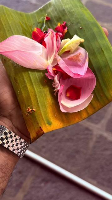 @Rej Kannur