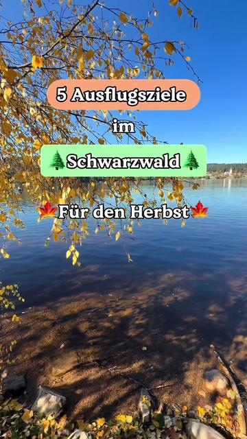 @Schwarzwald Pur