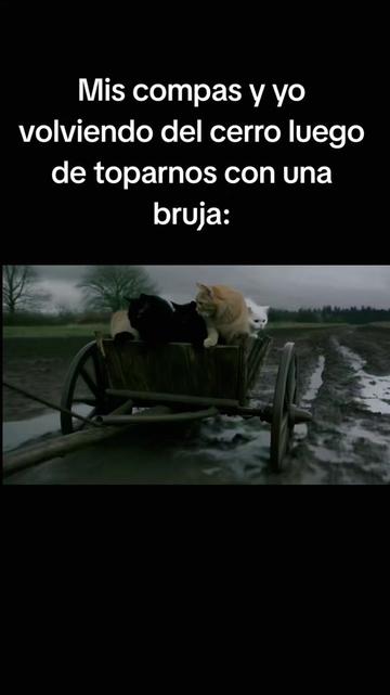 @.miau.