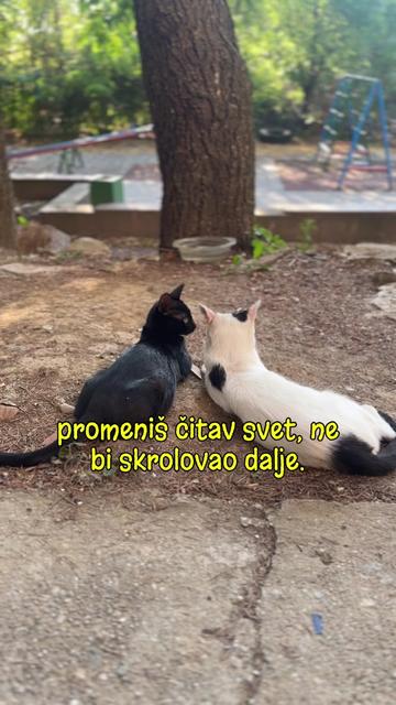 @cosanostrapurr