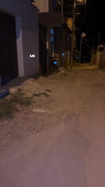 @Cabezotas 🐶