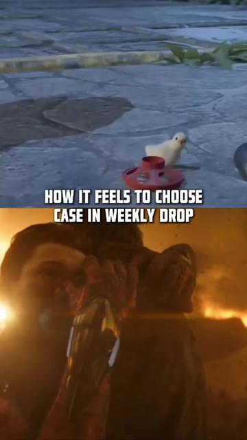 @NAVI