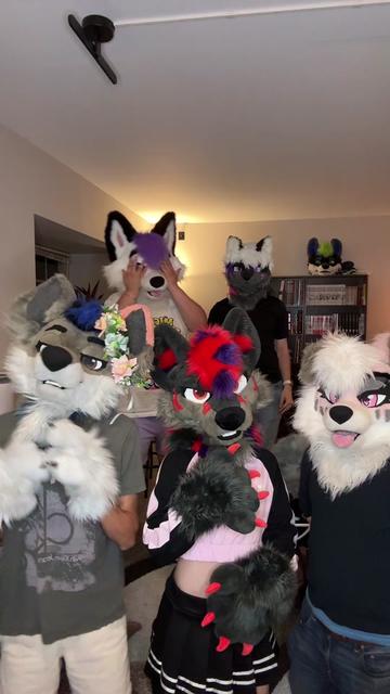 @DisjointWolfy