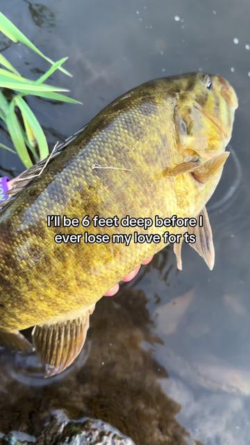 @FattBassFishing