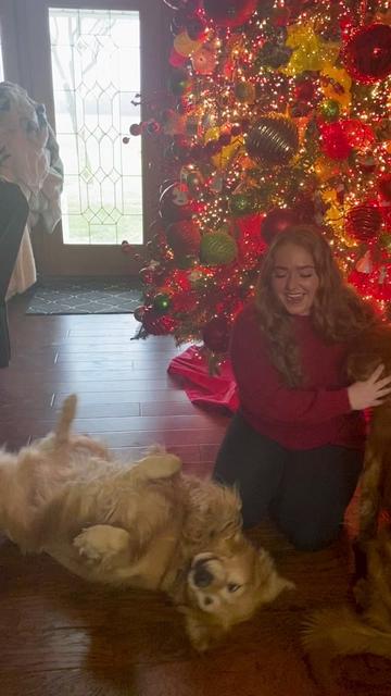 @Family full of goldens