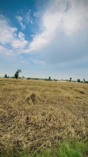 @نیازی