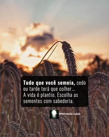 @Motivação_Diária