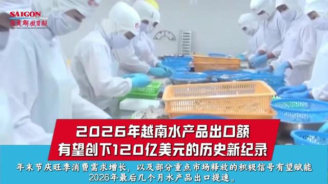 @西贡解放日报-Báo SGGP bản Hoa văn