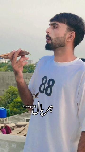 @Malik adrees