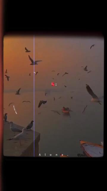 @"𝘼𝙡𝙤𝙣𝙚"
