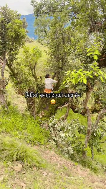 @Bipana Khadka💫❣️🧿