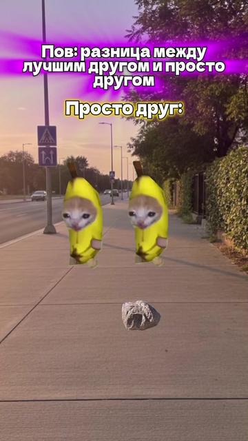 @MisterCat