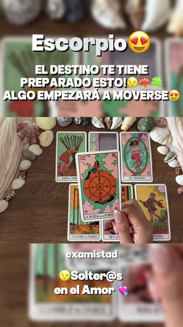 @Andy Sun Tarot ☀️