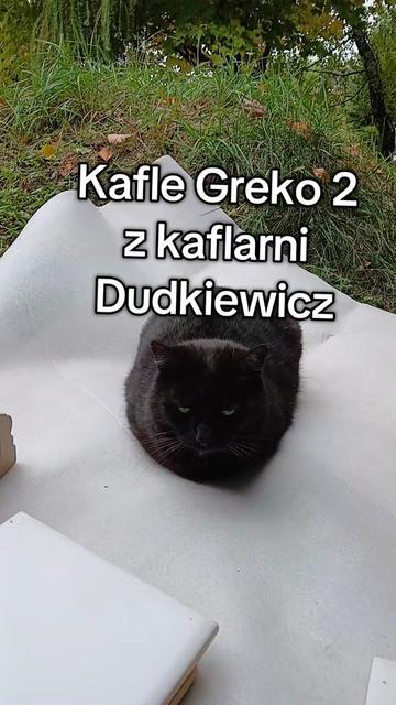 @Kaflowe Kominki