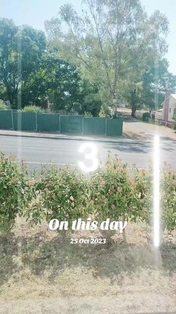 @shellyteddybear1
