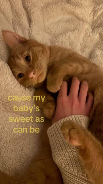 @Nats 𖣂