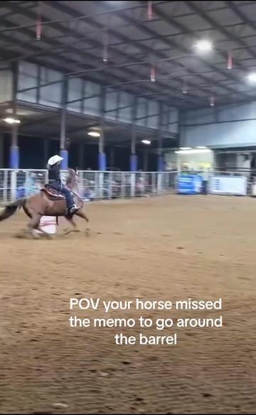 @Horses TikTok