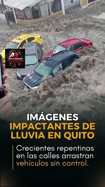 @antoniobombon615