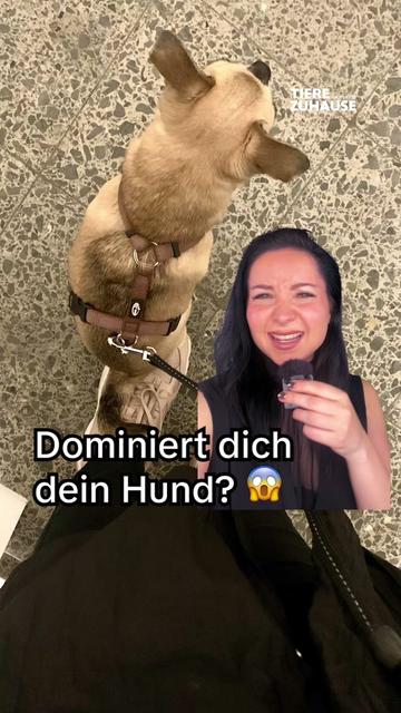 @Tiere suchen ein Zuhause