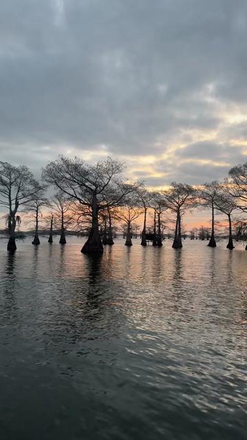 @Caddo Lake FirstCastCabin