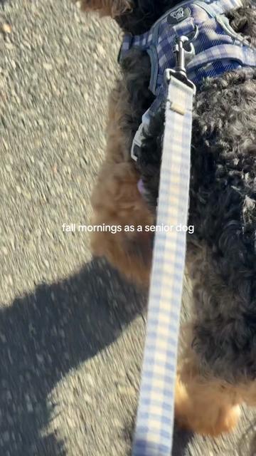 @Marianne | 75 & Sunny Swim ๐