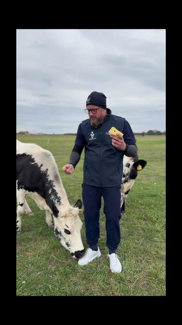 @cowdoctor_pl