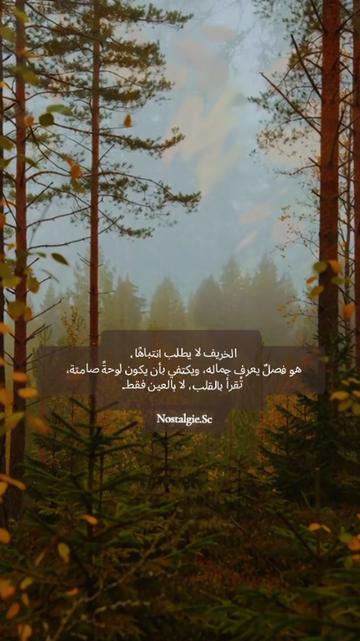@🇱🇧🄽🄾🅂🅃🄰🄻🄶🄸🄴70 80 90