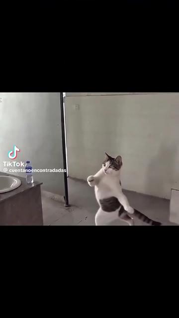 @FNvalenYT