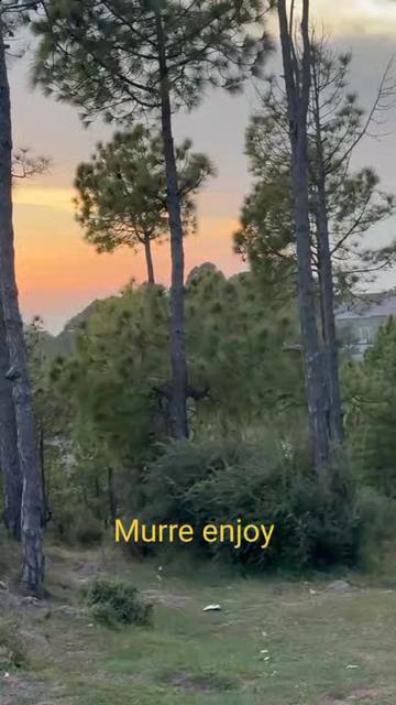 @moazam ali 4691