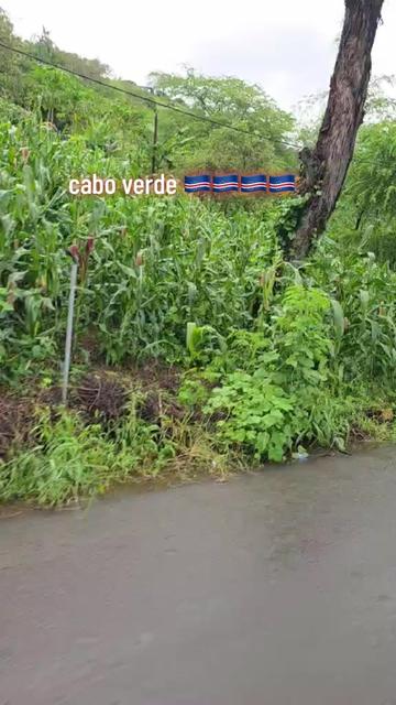 @Adam Gomez Pirez💎