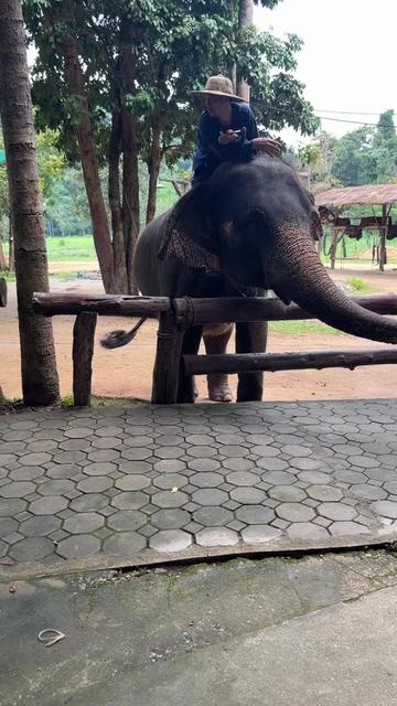 @Qvy Boonchanawiwat