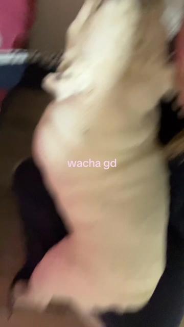 @i$sabell4a¿