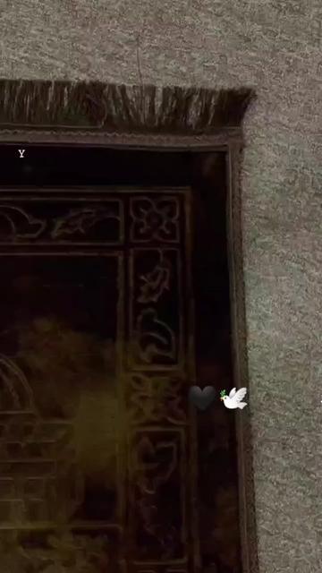 @£|)@🕊️