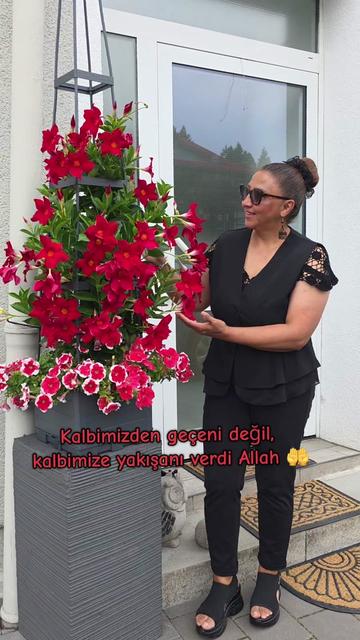 @meralworld