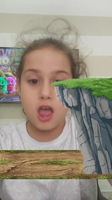 @sophia ancona