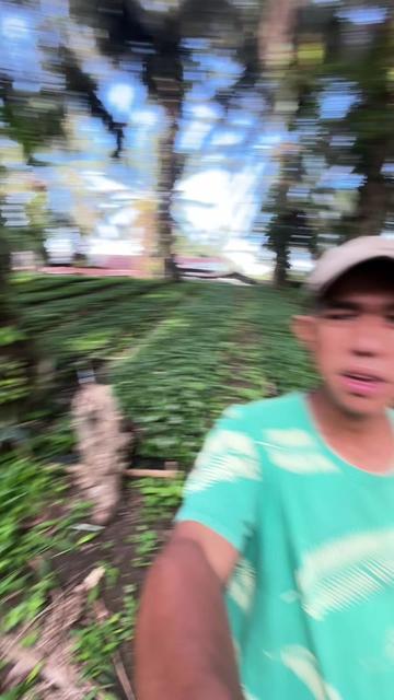 @ikhsansann