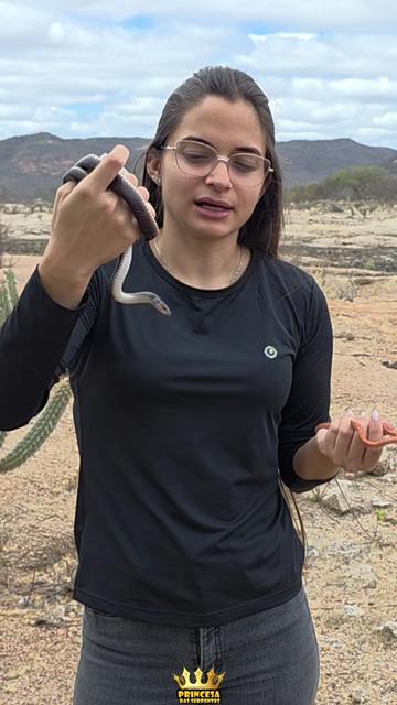 @Princesa das Serpentes