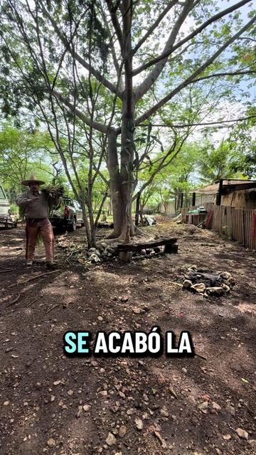 @José Ramón Medina