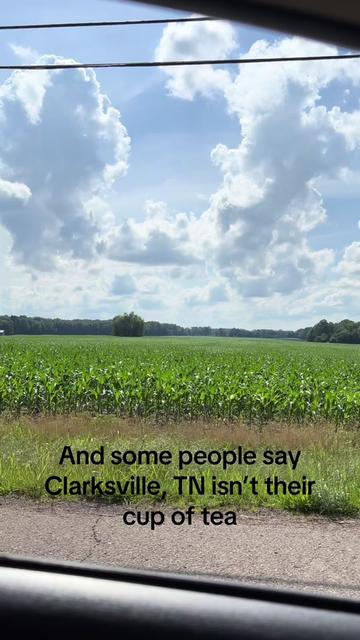 @Zach Paton | TN REALTOR