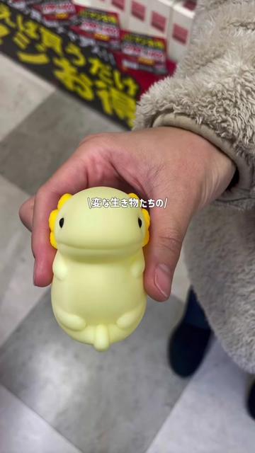 @すじこ