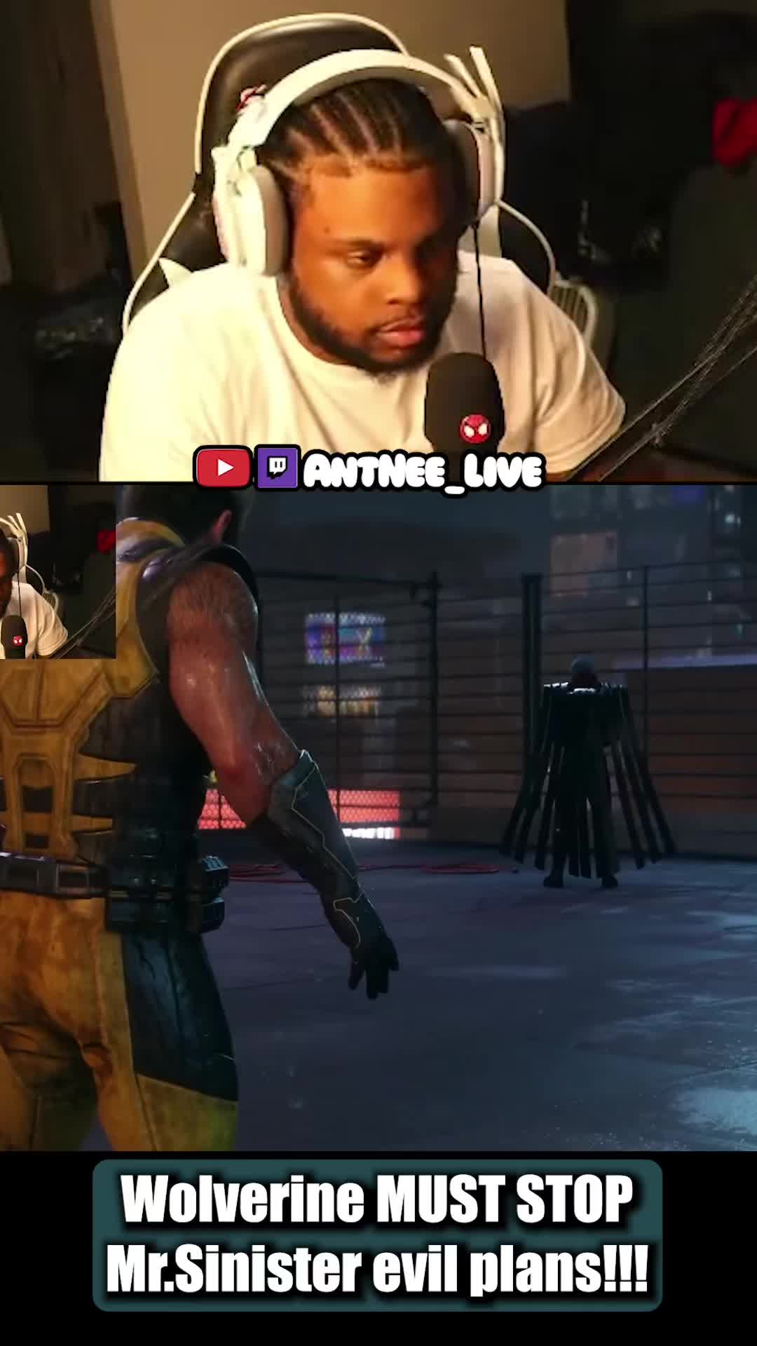 @AntNee Live